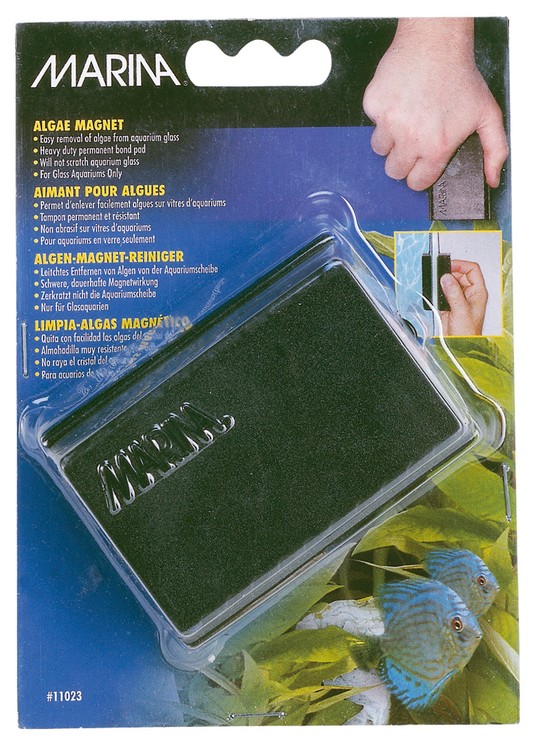 Изображение на странице