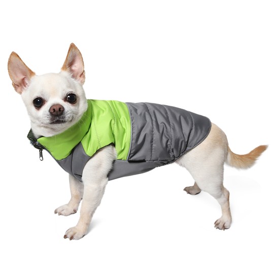 Изображение на странице