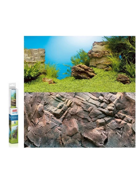 Изображение на странице