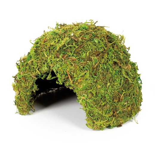 Изображение на странице