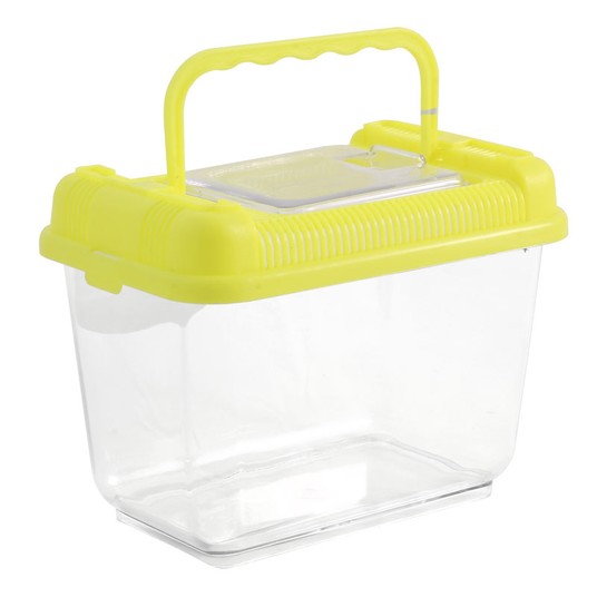 Изображение на странице