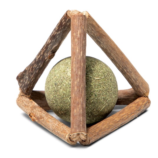 Изображение на странице