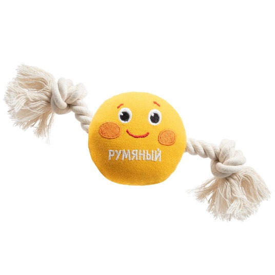 Изображение на странице