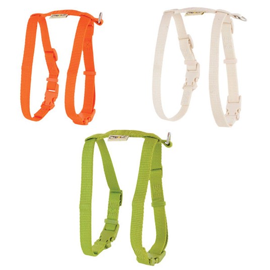 Изображение на странице