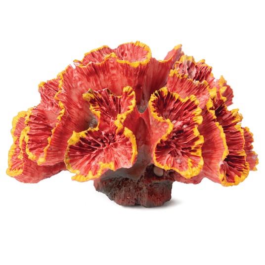 Изображение на странице