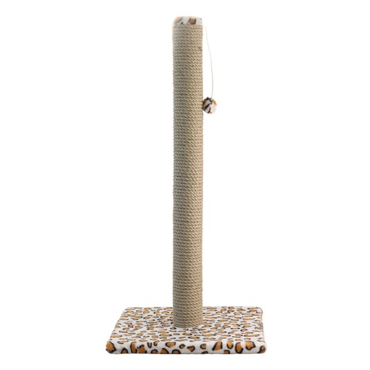 Изображение на странице