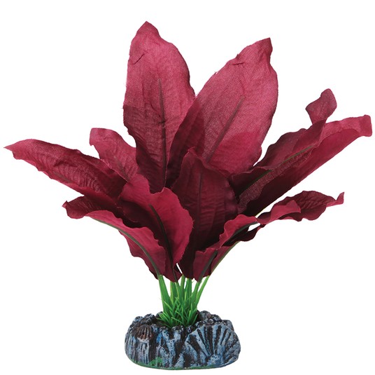 Изображение на странице