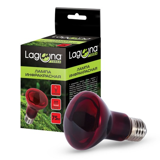 Изображение на странице