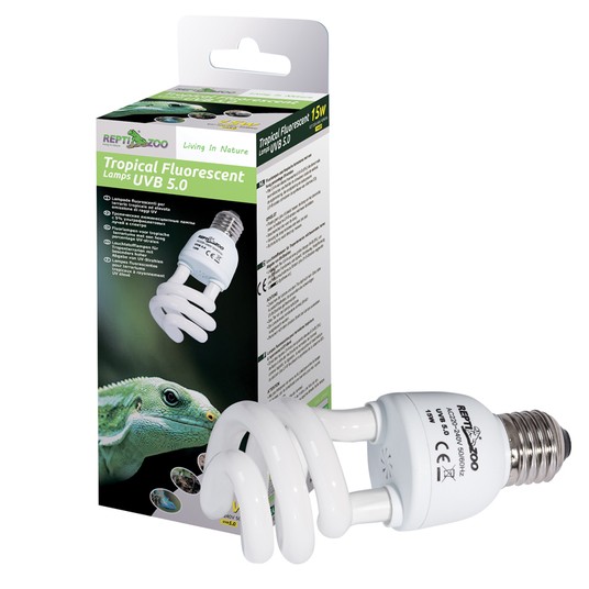 Изображение на странице