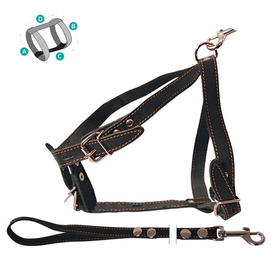 Изображение на странице