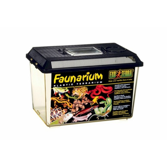 Изображение на странице