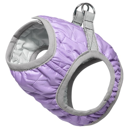 Изображение на странице