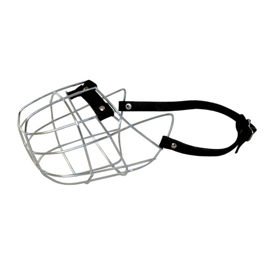 Изображение на странице