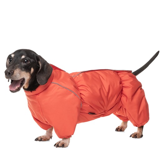 Изображение на странице