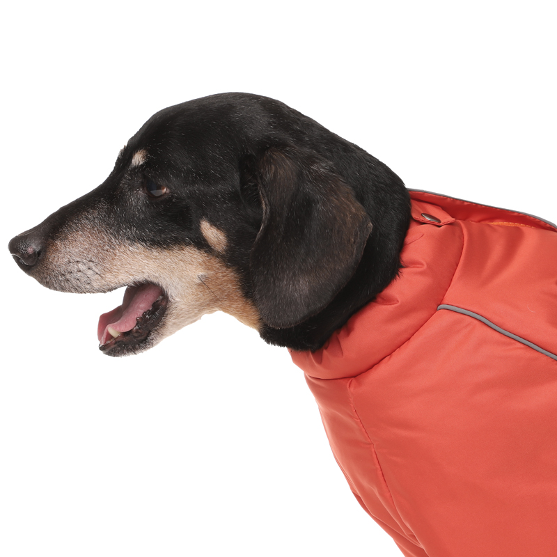 Комбинезон зимний "Такса" терракотовый M, 41см 3