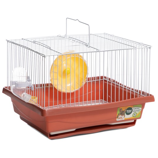 Изображение на странице