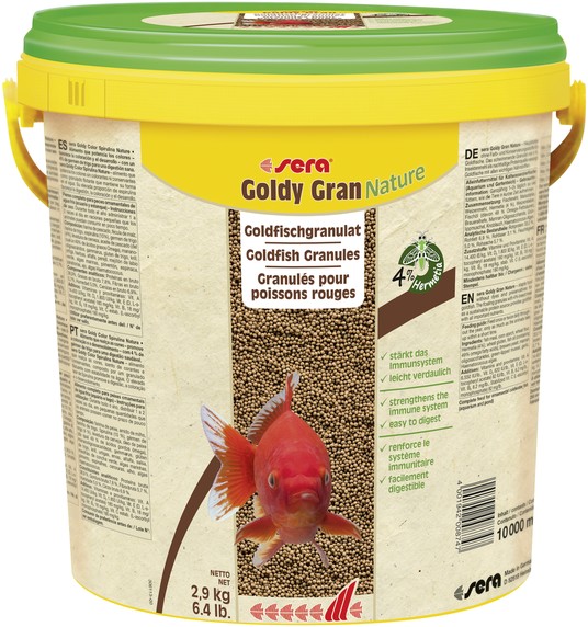 Изображение на странице