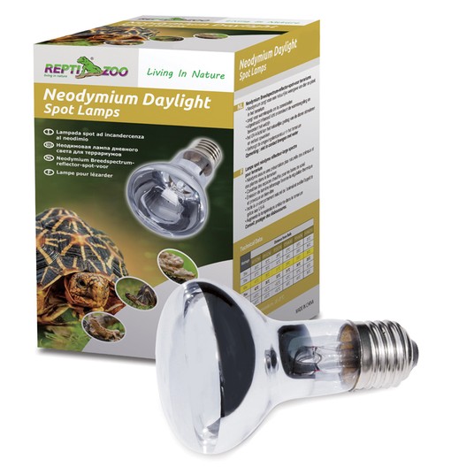 Изображение на странице