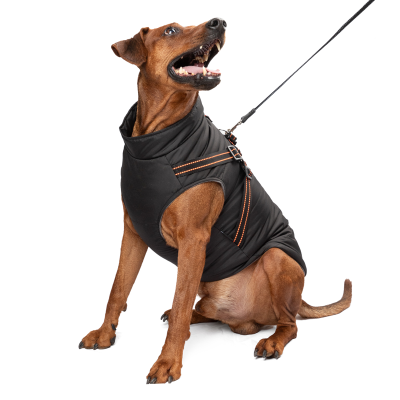 Изображение на странице