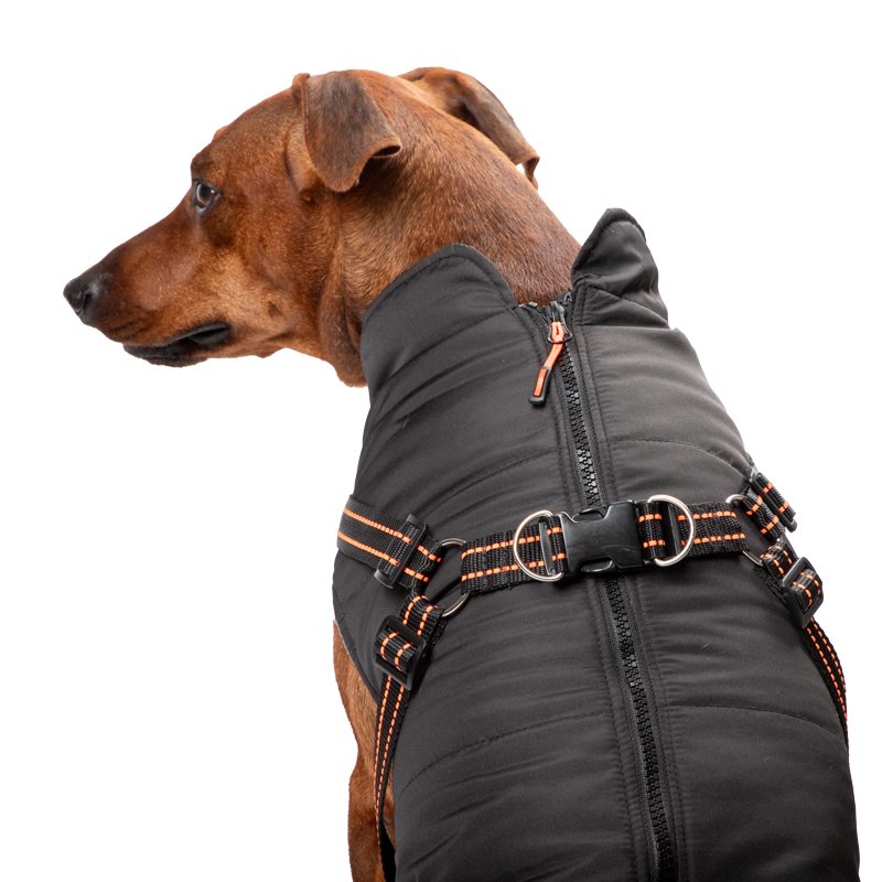 Изображение на странице