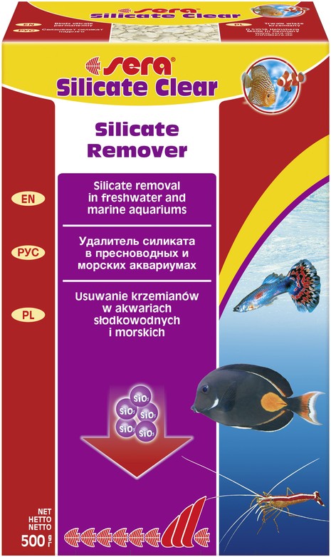 Изображение на странице