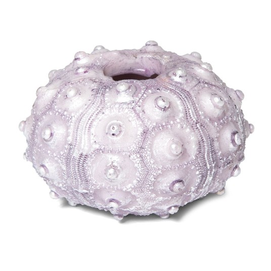 Изображение на странице