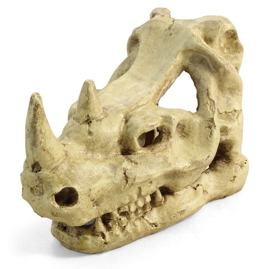 "Черепа" Грот "Череп носорога", 160*100*120мм
