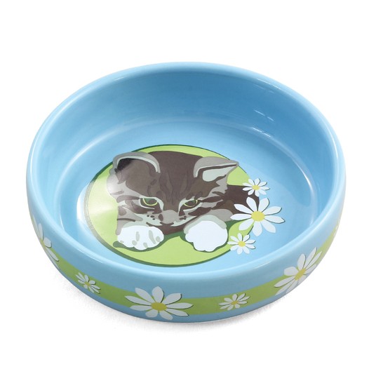 Изображение на странице