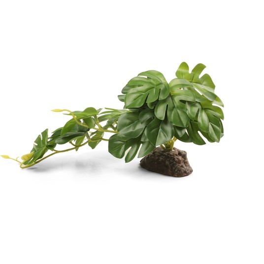 Изображение на странице