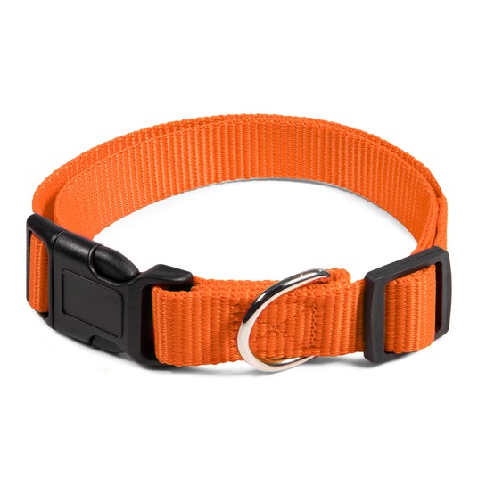 Изображение на странице