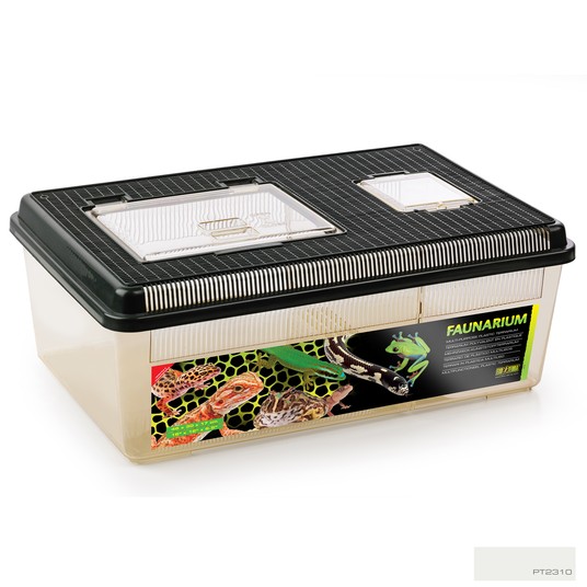 Изображение на странице