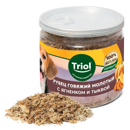 Изображение на странице