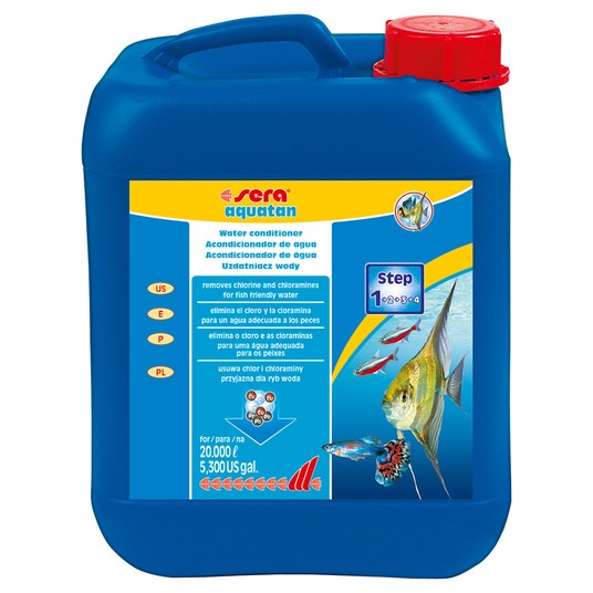 Изображение на странице