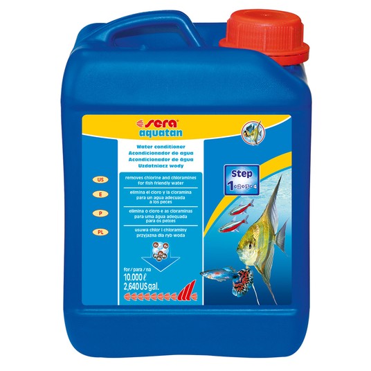 Изображение на странице