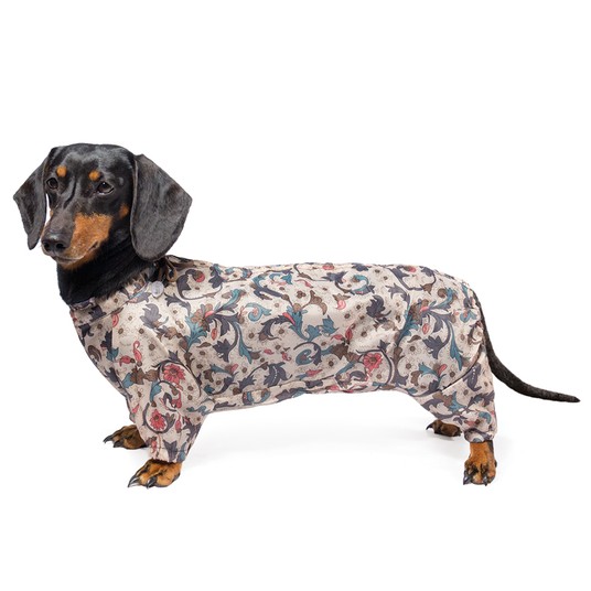 Изображение на странице