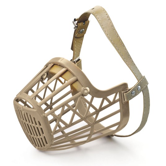 Изображение на странице