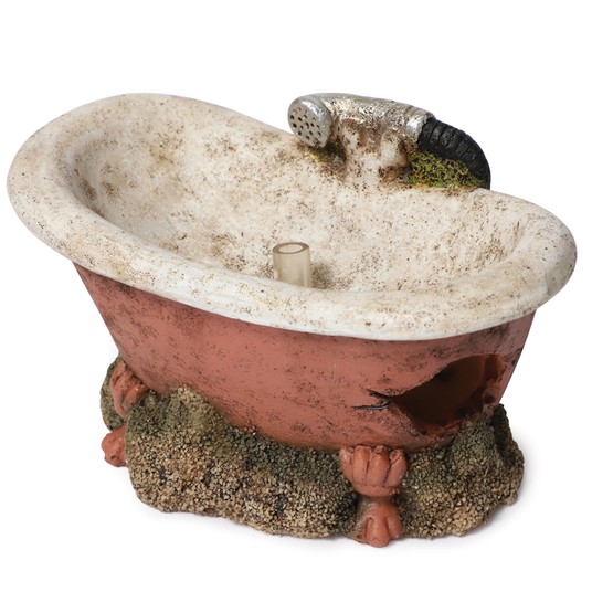 Изображение на странице