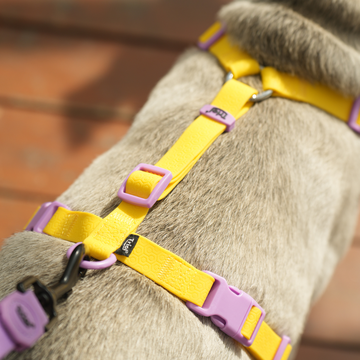 Изображение на странице