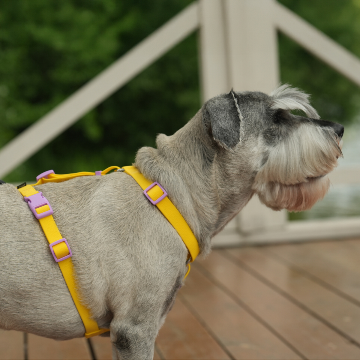 Изображение на странице