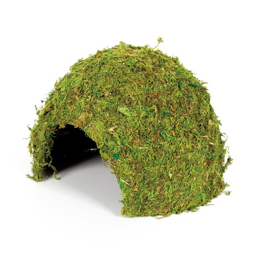 Изображение на странице