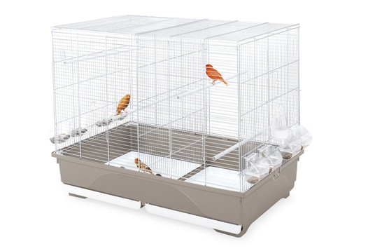 Изображение на странице