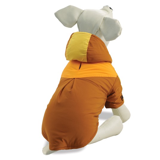 Изображение на странице