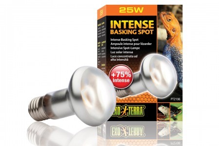 Изображение на странице