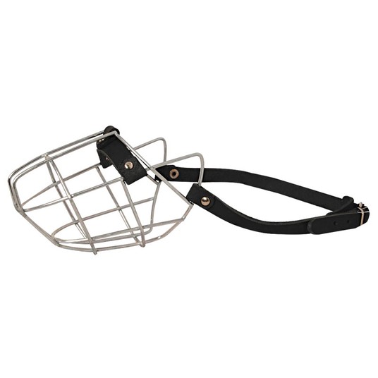 Изображение на странице