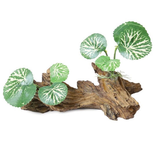 Изображение на странице