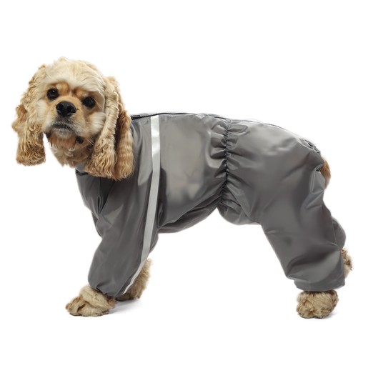 Изображение на странице