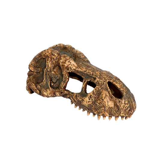 Изображение на странице