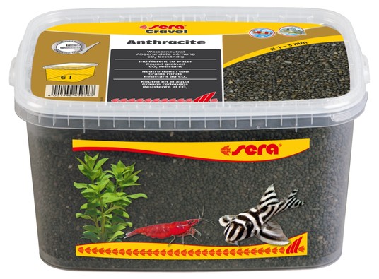 Изображение на странице