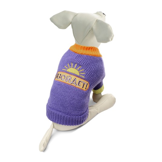 СОЮЗМУЛЬТФИЛЬМ Свитер "Солнце взойдет" XS, фиолетовый, дл.изделия по спине 20см