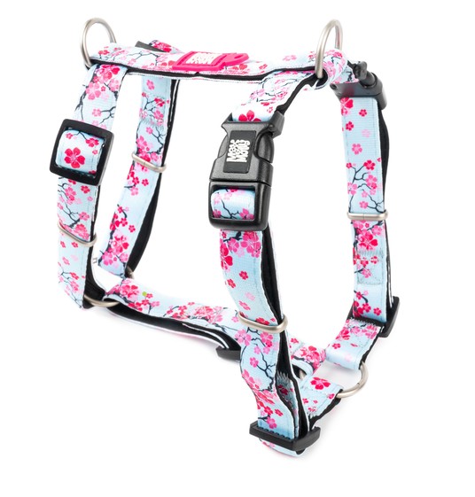 Изображение на странице